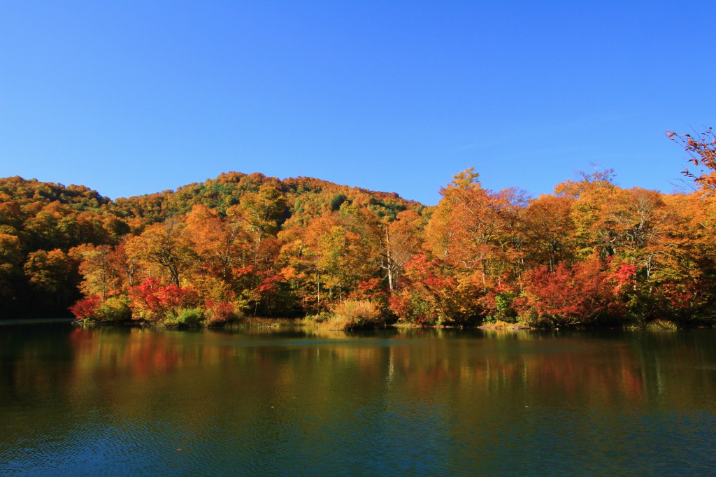 紅葉の鎌池 012