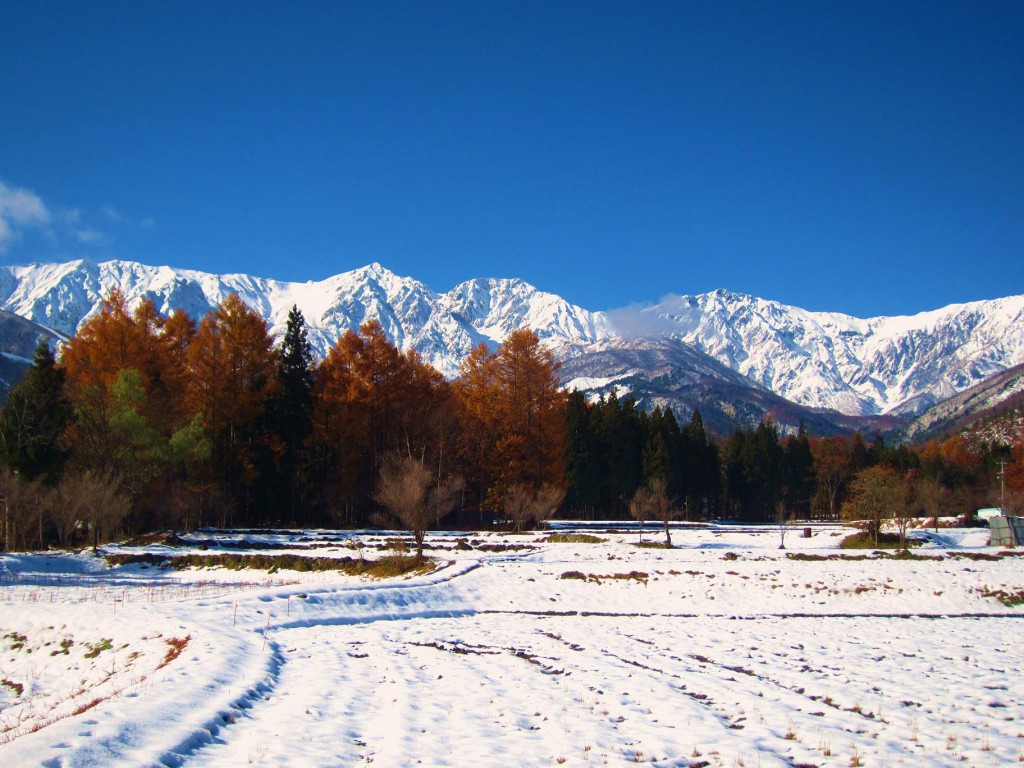 2012.11.16雪景色 011